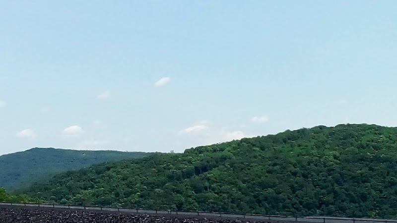 Unique Geological Formation at Waffle Rock, Elk Garden, WV - Waffle Rock