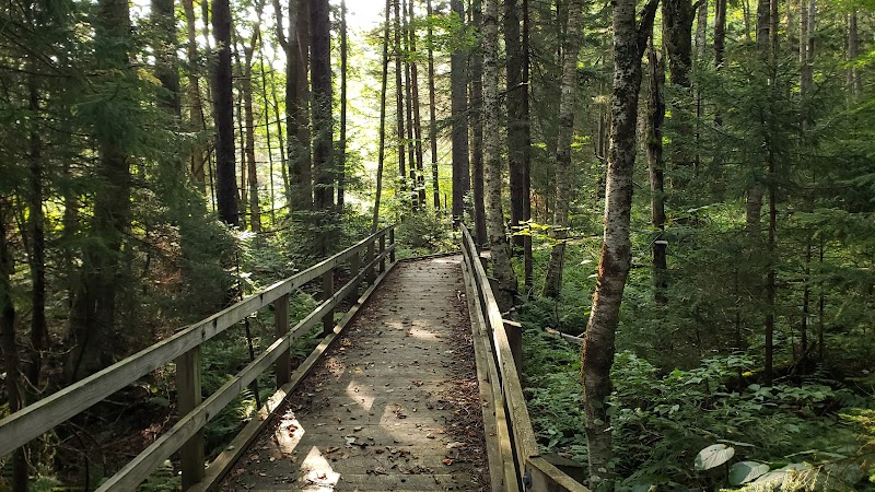 Scenic Hiking at Tea Creek Mountain, West Virginia surrounding landscape