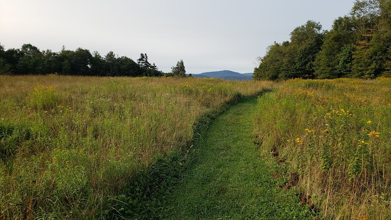 Scenic Hiking at Tea Creek Mountain, West Virginia - Tea Creek Mountain