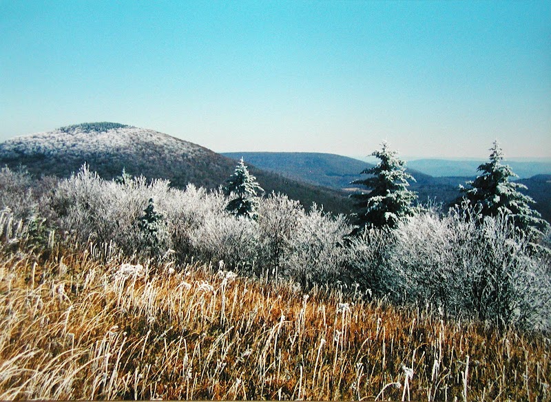 Scenic Hiking at Tea Creek Mountain, West Virginia outdoor detail
