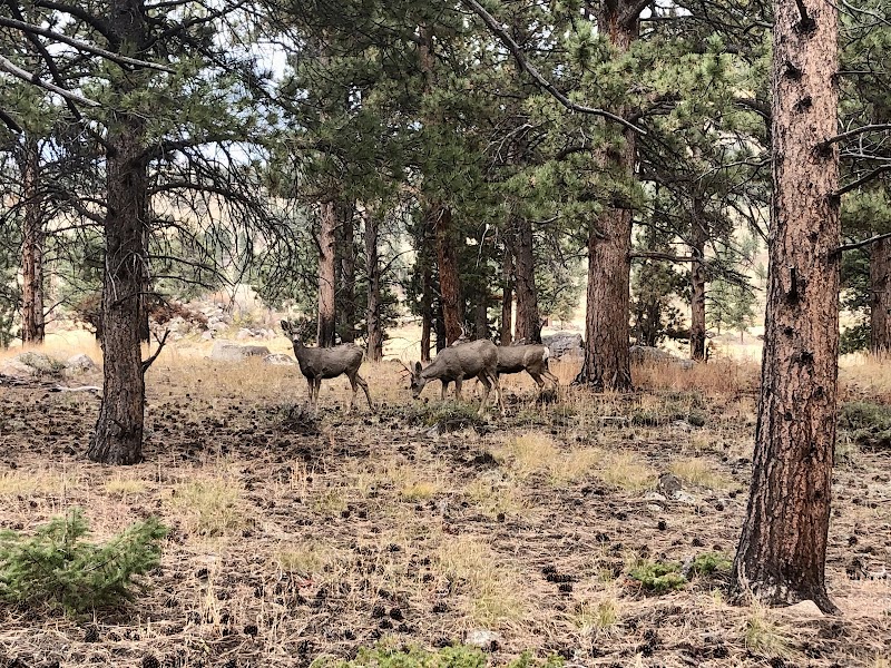 Scenic Hiking at Upper Beaver Meadows Trailhead, Estes Park surrounding landscape