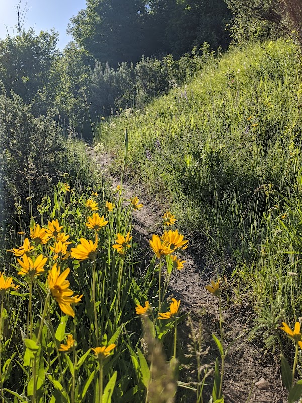 Hiking the Idaho Centennial Trail near Lava Hot Springs - Idaho centennial trail