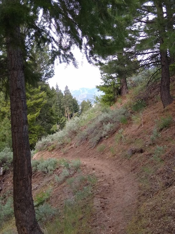 Scenic Hiking at Lower Lava Mountain Trailhead near Mountain Home, Idaho surrounding landscape