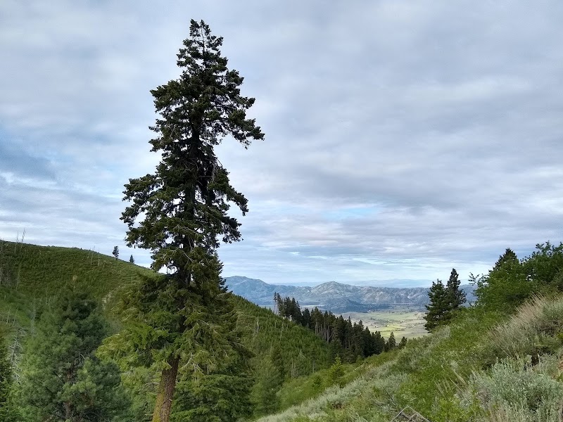 Scenic Hiking at Lower Lava Mountain Trailhead near Mountain Home, Idaho - Lower Lava Mountain Trailhead