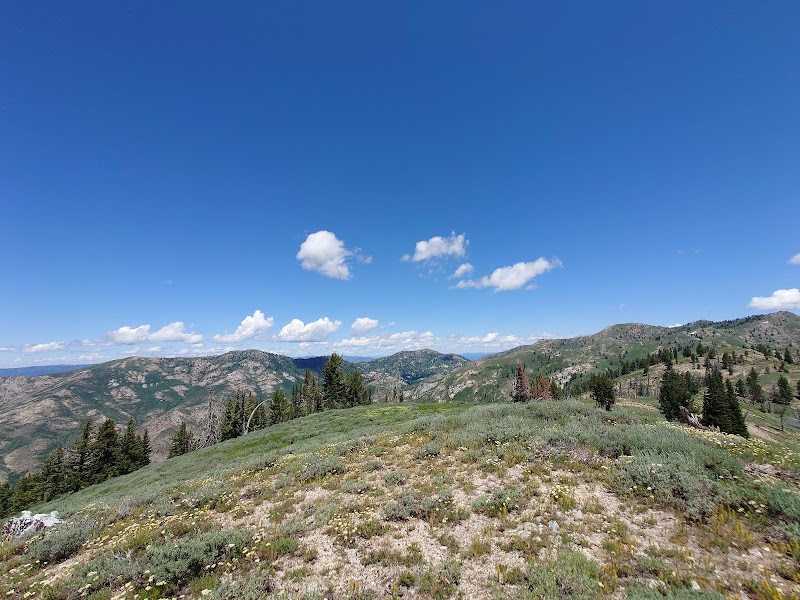 Scenic Hiking at Lower Lava Mountain Trailhead near Mountain Home, Idaho outdoor detail