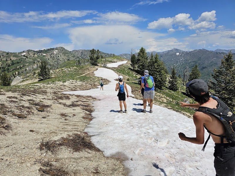 Scenic Hiking and Snow Patches at Lava Mountain, Idaho - Lava Mountain