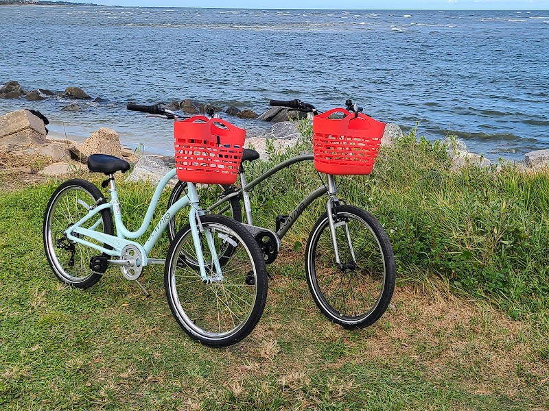 St. Simons Island Bike Adventures with Monkey Rents Bicycles - Savannah