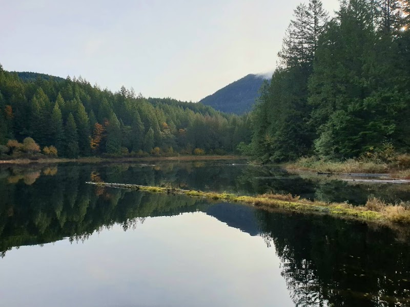 Tranquil Waters and Forest Surroundings at Grace Lake - Grace Lake