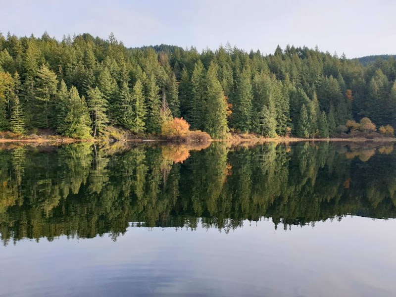 Tranquil Waters and Forest Surroundings at Grace Lake - Grace Lake