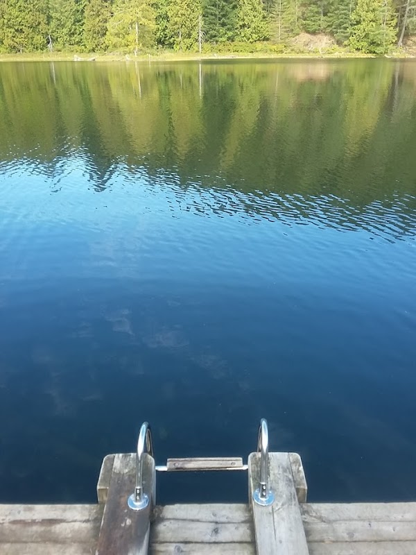 Tranquil Waters and Forest Surroundings at Grace Lake - Grace Lake