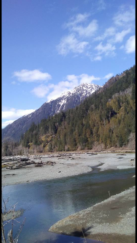 Glacier Majesty at Mount Olympus, Washington State surrounding landscape