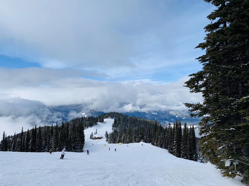 Winter Sports and Natural Beauty at Whistler Olympic Park - Whistler Olympic Park