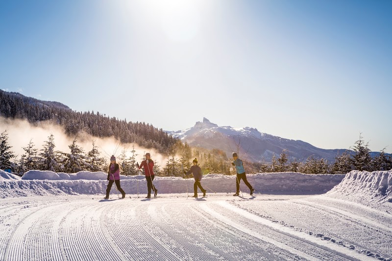 Winter Sports and Natural Beauty at Whistler Olympic Park surrounding landscape