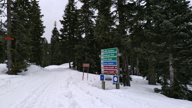 Mount Seymour: Scenic Mountain Escape in North Vancouver - Mount Seymour