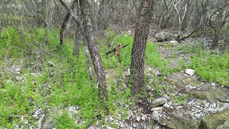 Natural Cave Wonder at Goat Cave Karst Nature Preserve, Austin - Goat Cave Karst Nature Preserve