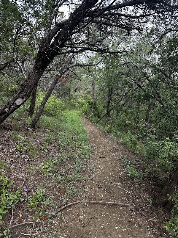 Scenic Hiking at Southeast Metropolitan Park Primitive Trail, Del Valle, TX - Southeast Metropolitan Park Primitive Trail