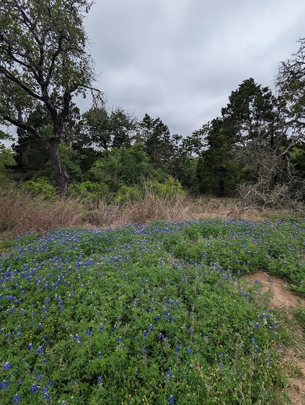 Nature & Trails at McKinney Roughs Nature Park - McKinney Roughs Nature Park