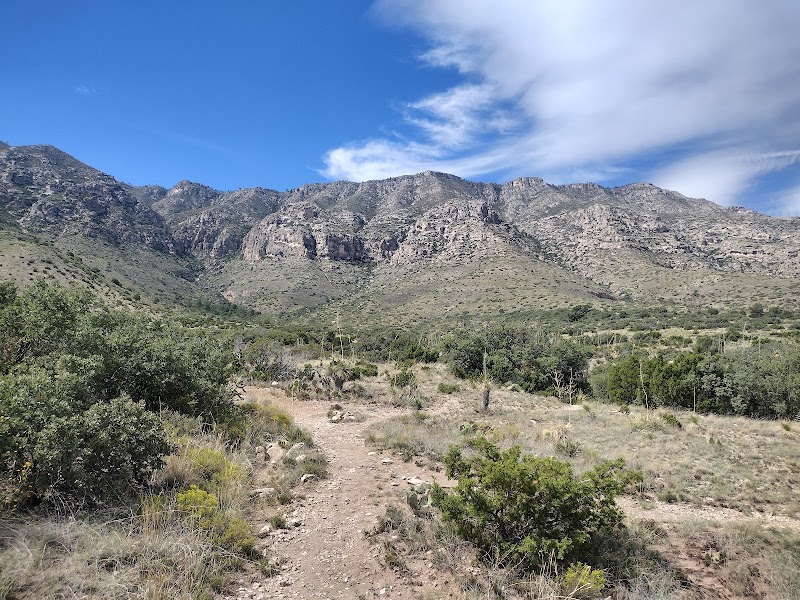 Hiking Smith Spring Trail in Guadalupe Mountains National Park - Smith Spring Trail