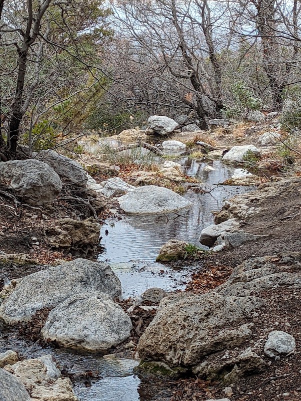 Hiking Smith Spring Trail in Guadalupe Mountains National Park - Smith Spring Trail