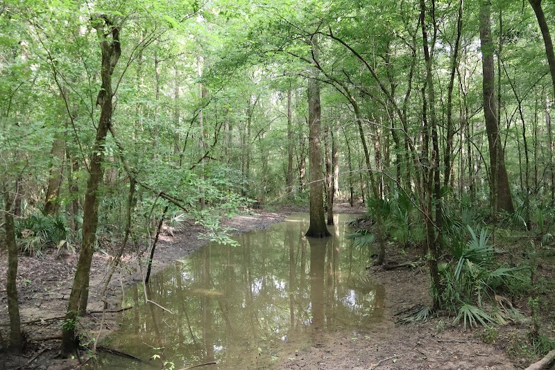Scenic Wetlands & Trails at Winters Bayou near Cleveland, TX - Winters Bayou Scenic Area