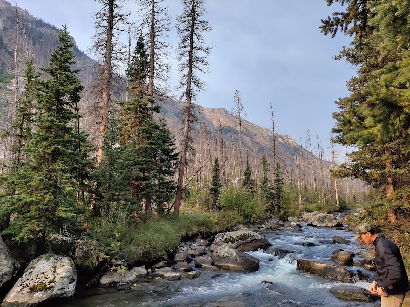 Scenic Hiking at West Fork Rock Creek Trailhead near Red Lodge, Montana - West Fork Rock Creek Trailhead