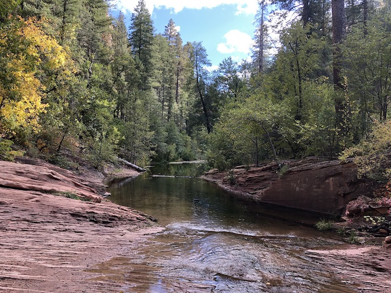 Scenic Hiking at West Fork Rock Creek Trailhead near Red Lodge, Montana surrounding landscape