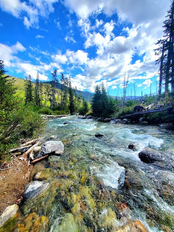 Scenic Hiking at West Fork Rock Creek Trailhead near Red Lodge, Montana - West Fork Rock Creek Trailhead