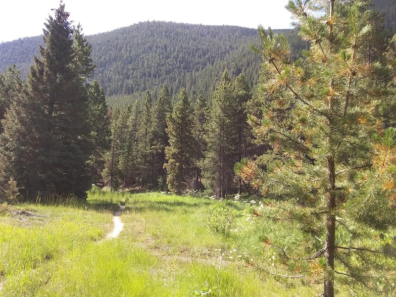 Hiking Adventure at Silver Run Trailhead, Red Lodge, Montana - Silver Run Trailhead