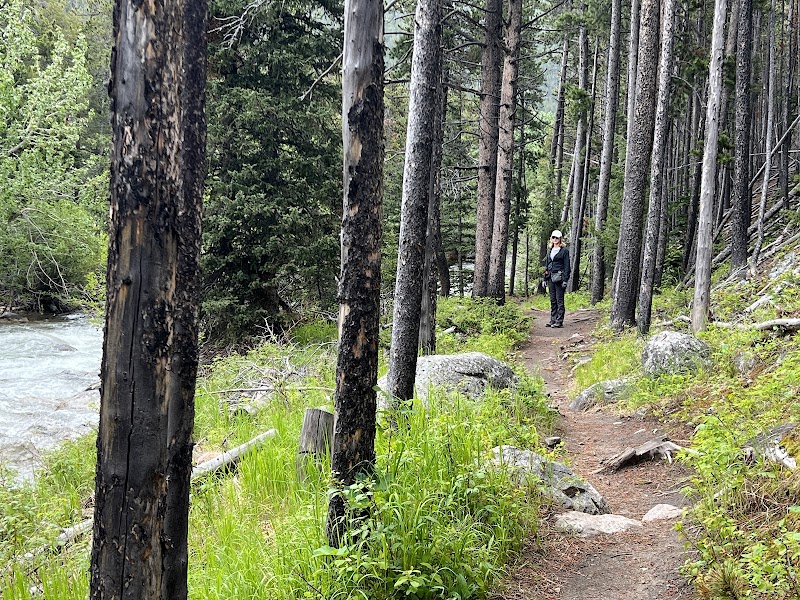 Hiking Adventure at Silver Run Trailhead, Red Lodge, Montana - Silver Run Trailhead