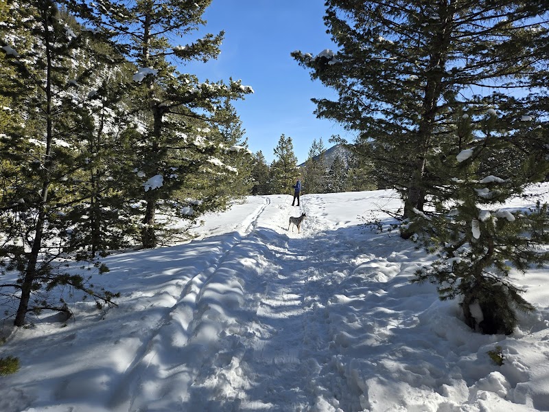 Hiking Adventure at Silver Run Trailhead, Red Lodge, Montana surrounding landscape