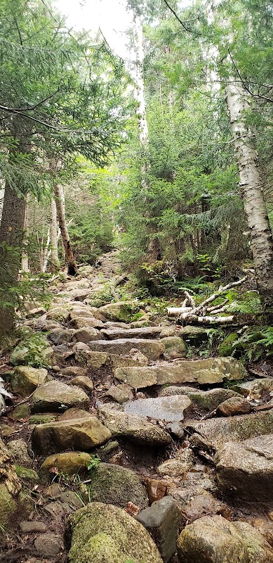 Nature Hiking at Liberty Springs Trail in Lincoln, New Hampshire surrounding landscape