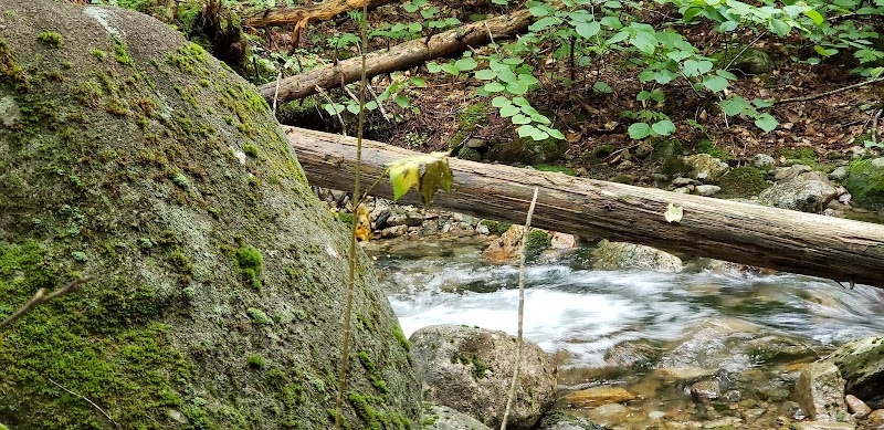 Nature Hiking at Liberty Springs Trail in Lincoln, New Hampshire - Liberty Springs Trail
