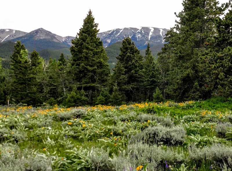 Scenic Hiking and Nature at Red Lodge Creek Trailhead surrounding landscape