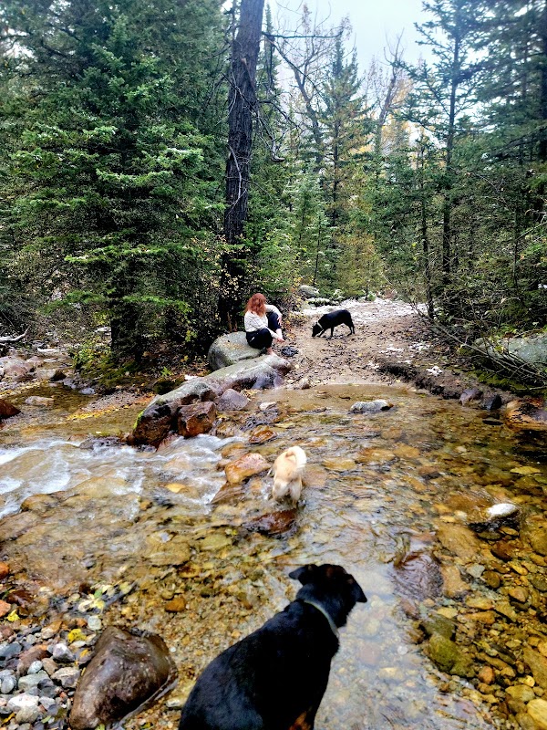 Scenic Hiking and Nature at Red Lodge Creek Trailhead outdoor detail
