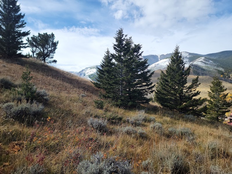 Scenic Hiking and Nature at Red Lodge Creek Trailhead - Red Lodge Creek Trailhead