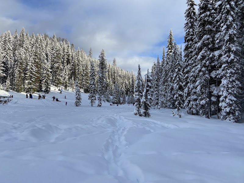 Scenic Mountain Escape at Lolo Pass, Montana - Lolo Pass