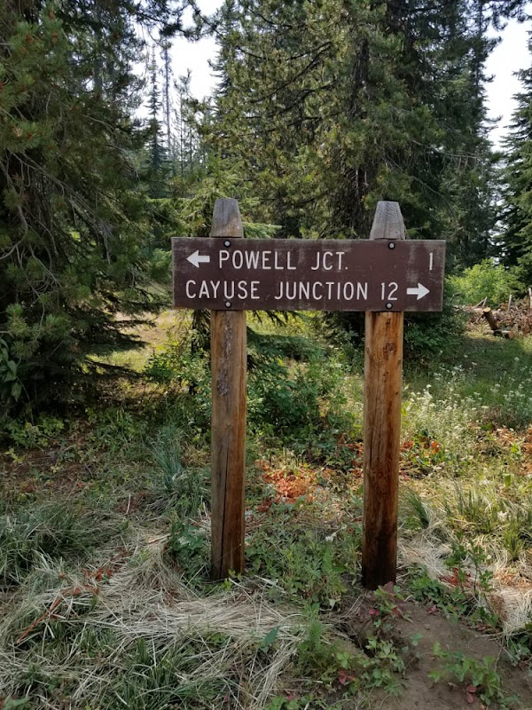 Scenic Backcountry Journey at Lolo Motor Way - East Portal - Lolo Motor Way - East Portal