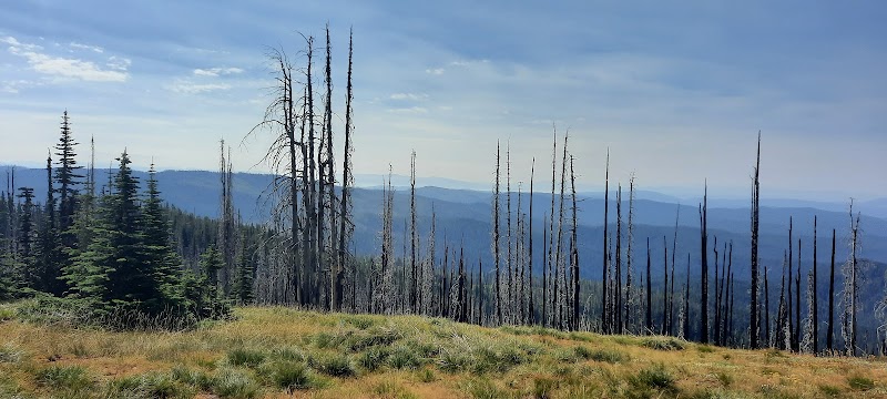 Scenic Backcountry Drive: Lolo Motor Way Historic Byway - Lolo Motor Way Historic Backcountry Byway