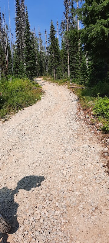 Scenic Backcountry Drive: Lolo Motor Way Historic Byway - Lolo Motor Way Historic Backcountry Byway