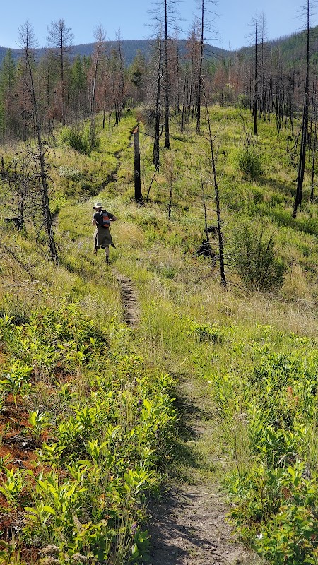 Hiking Adventure at South Fork Lolo Creek Trailhead surrounding landscape