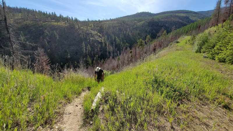 Hiking Adventure at South Fork Lolo Creek Trailhead - South Fork Lolo Creek Trailhead
