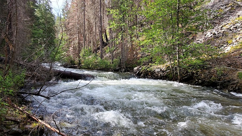 Hiking Adventure at South Fork Lolo Creek Trailhead - South Fork Lolo Creek Trailhead