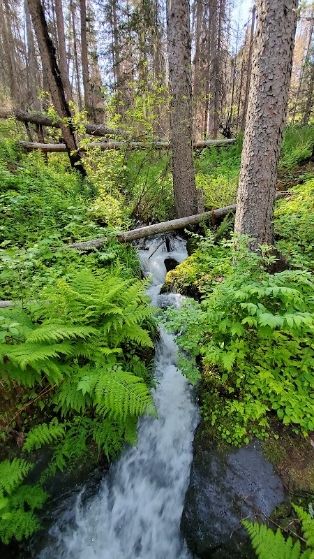 Hiking Adventure at South Fork Lolo Creek Trailhead - South Fork Lolo Creek Trailhead