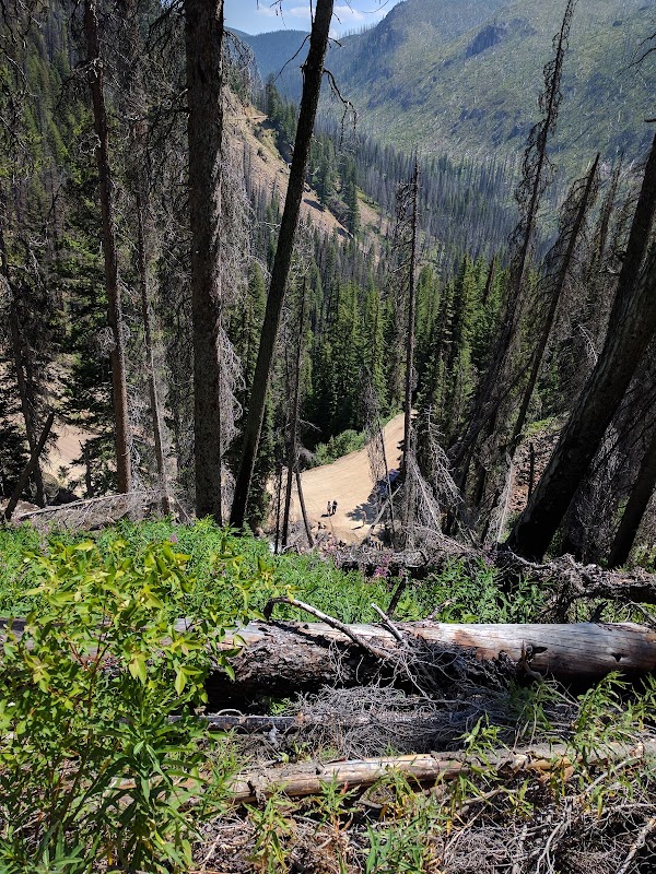 Waterfall Wonder: Skalkaho Falls in Montana - Skalkaho Falls