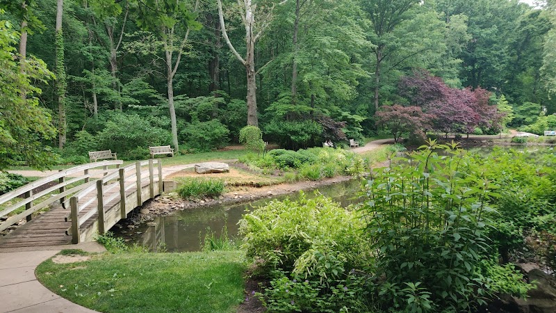 Nature Walks & Floral Beauty at Edith J. Carrier Arboretum - Edith J. Carrier Arboretum