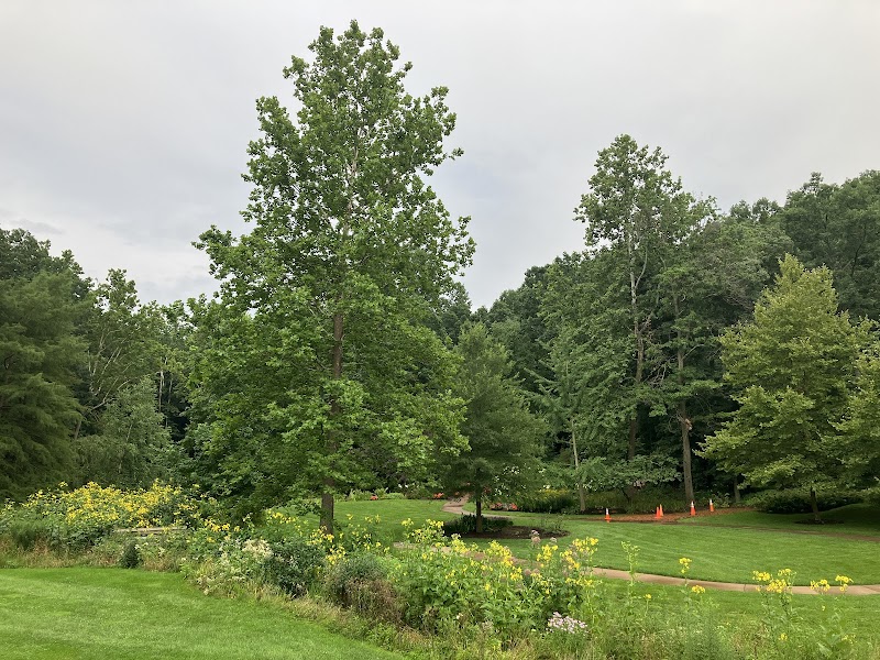 Nature Walks & Floral Beauty at Edith J. Carrier Arboretum surrounding landscape