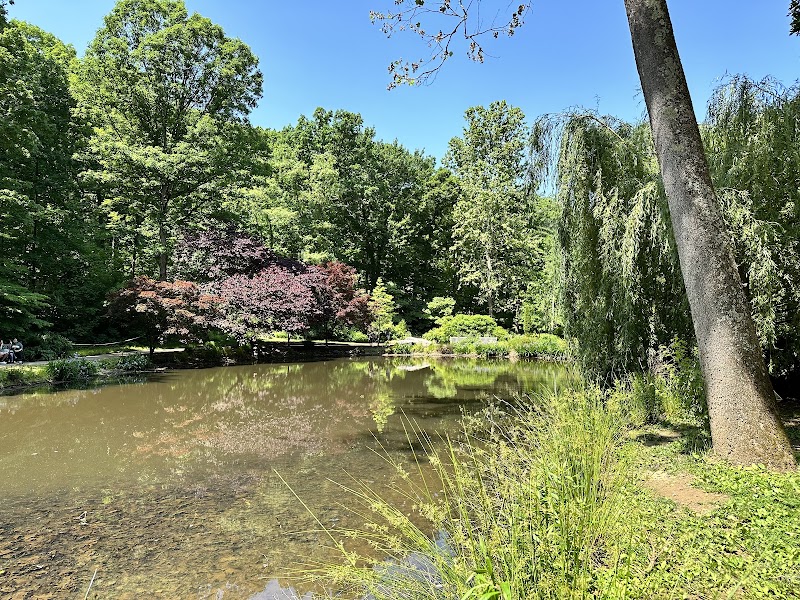 Nature Walks & Floral Beauty at Edith J. Carrier Arboretum - Edith J. Carrier Arboretum