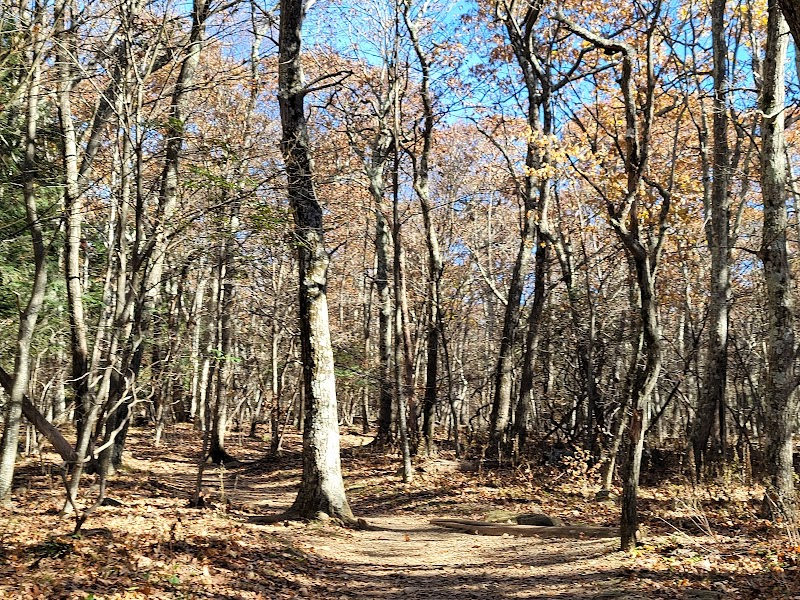 Hiking to Stony Man Peak in Shenandoah National Park surrounding landscape