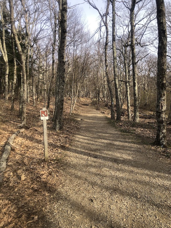 Hiking to Stony Man Peak in Shenandoah National Park - Stony Man