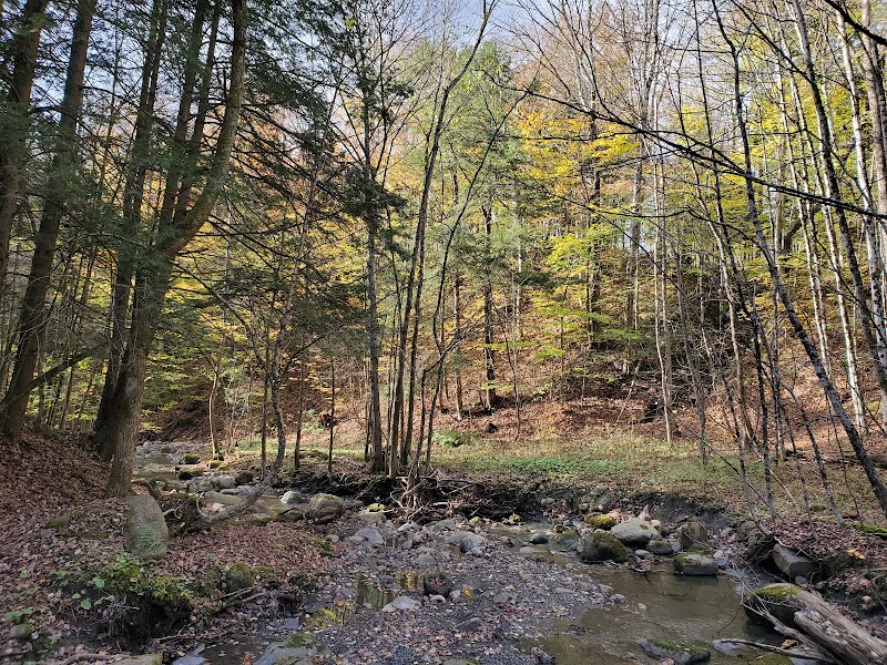 Natural Trails & Serenity at Wilderness Park, Utica - Wilderness Park